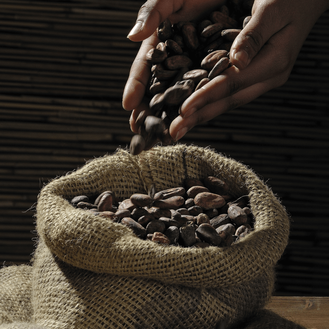 coffee beans being held in hand
